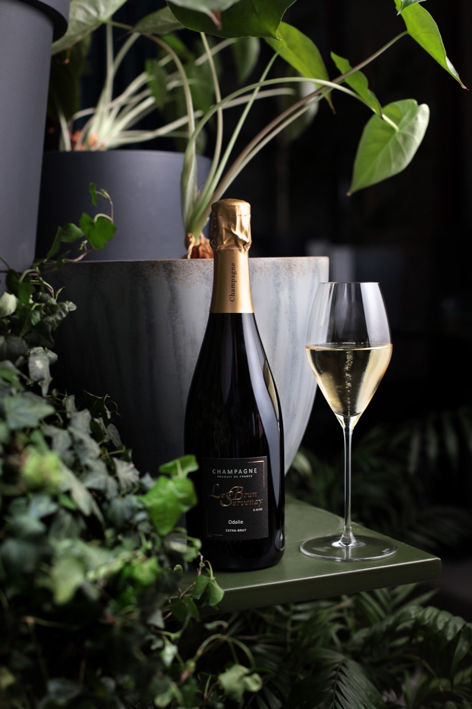 Champagne bottle and glass in the garden at Brut Merate