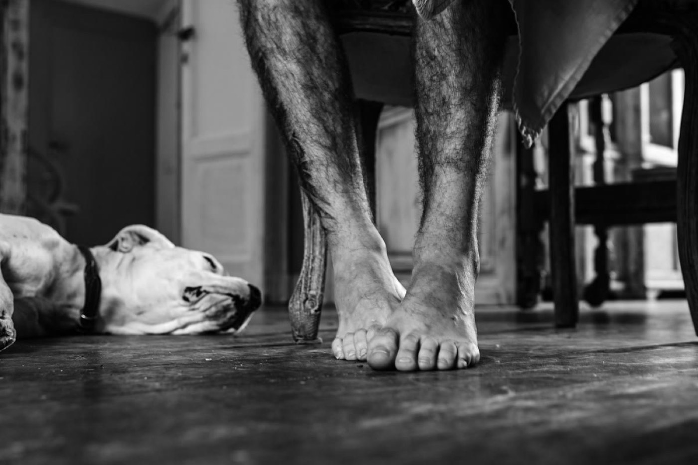 Dog lying beside a person in a black-and-white frame